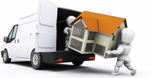 Removalists removalists in